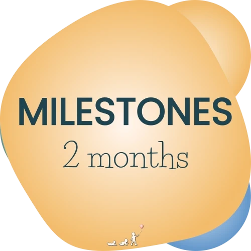 baby milestones - month 2