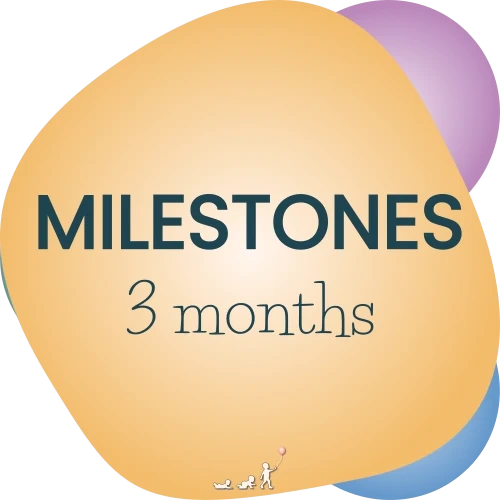 baby milestones - month 3