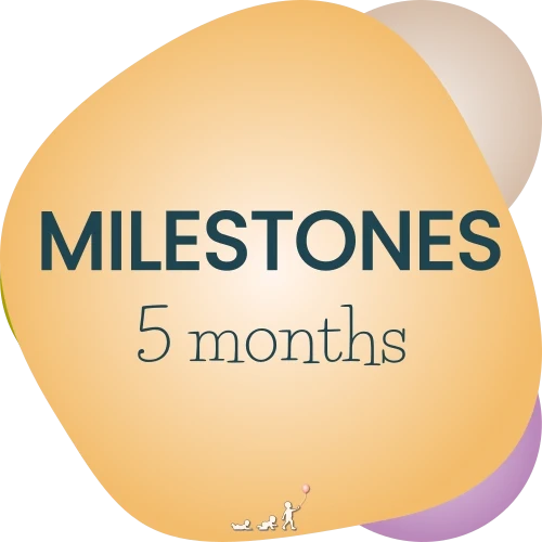 baby milestones - month 5