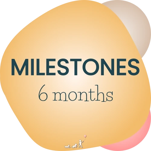 baby milestones - month 6