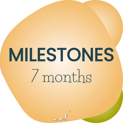 baby milestones - month 7