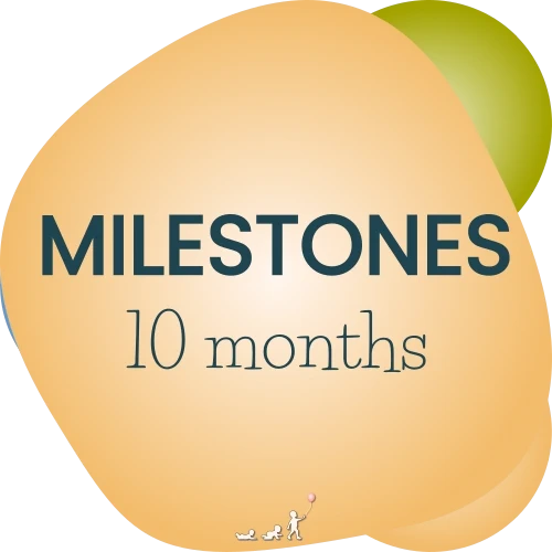baby milestones - month 10