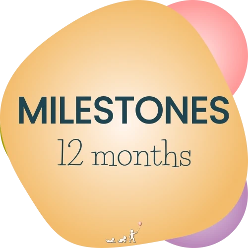 baby milestones - month 12